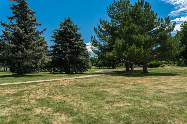 1237 S Memphis St, Aurora, CO 80017 - photo 30