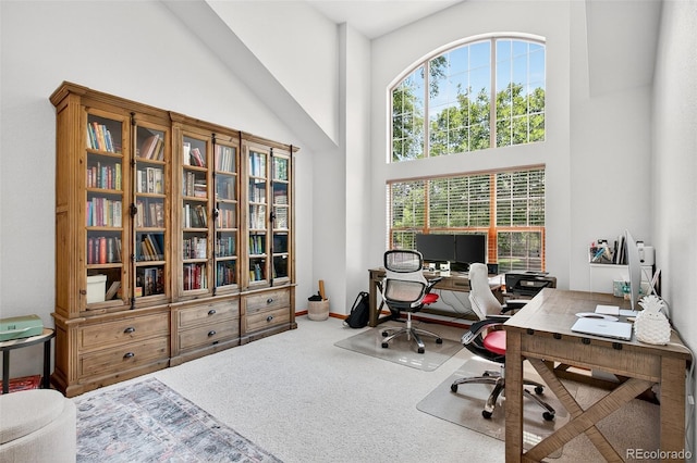 1 Amaranth Dr, Littleton, CO 80127 - carpeted home office with a high ceiling