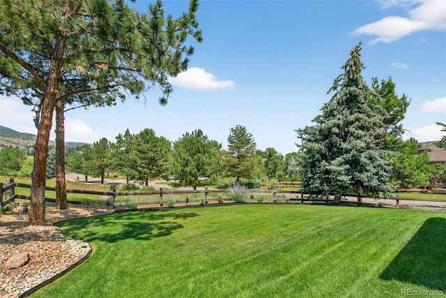 1 Amaranth Dr, Littleton, CO 80127 - view of yard