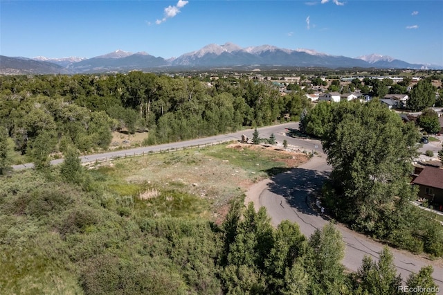 1101 E Ouray Ave, Poncha Springs, CO 81242 - photo 10