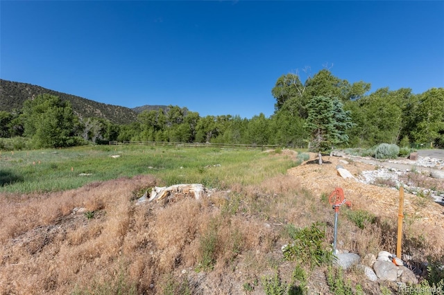 1101 E Ouray Ave, Poncha Springs, CO 81242 - photo 19