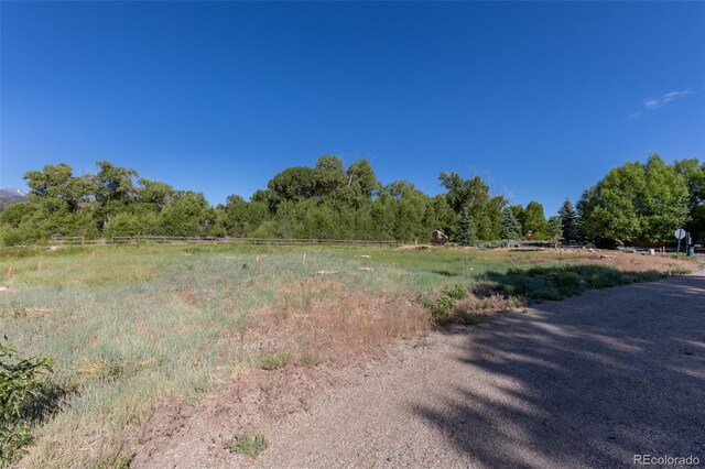 1101 E Ouray Ave, Poncha Springs, CO 81242 - photo 21