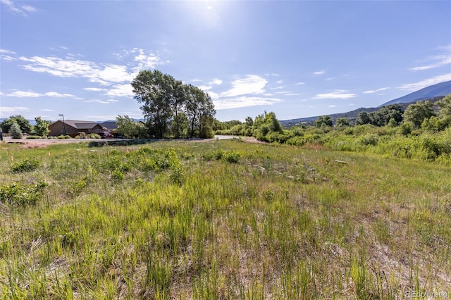 1101 E Ouray Ave, Poncha Springs, CO 81242 - photo 24