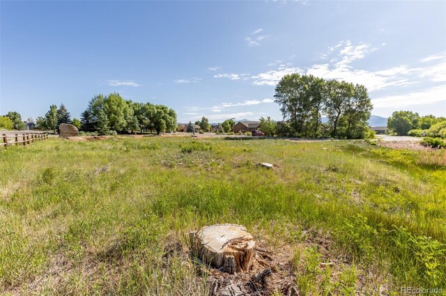 1101 E Ouray Ave, Poncha Springs, CO 81242 - photo 25