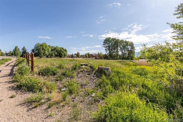 1101 E Ouray Ave, Poncha Springs, CO 81242 - photo 26