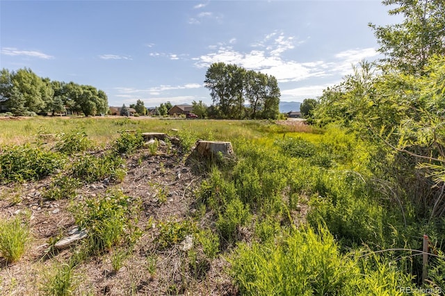 1101 E Ouray Ave, Poncha Springs, CO 81242 - photo 27