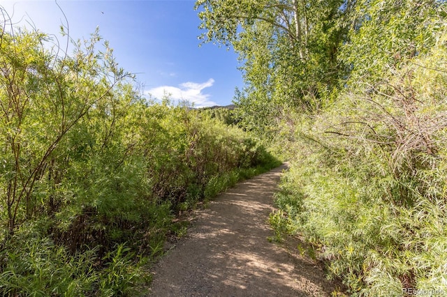 1101 E Ouray Ave, Poncha Springs, CO 81242 - photo 28