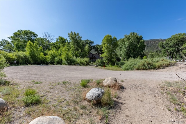 1101 E Ouray Ave, Poncha Springs, CO 81242 - photo 29