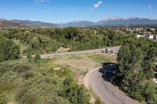 1101 E Ouray Ave, Poncha Springs, CO 81242 - photo 1