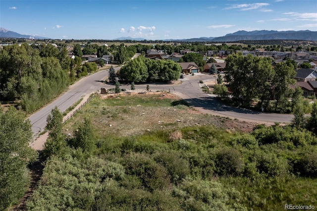 1101 E Ouray Ave, Poncha Springs, CO 81242 - photo 9