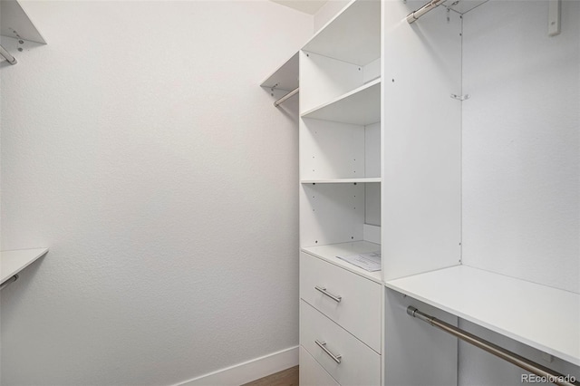 2749 Pemberly Ave, Highlands Ranch, CO 80126 - view of spacious closet