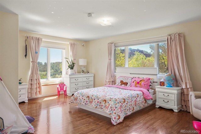 15010 Henry Ride Hts, Colorado Springs, CO 80926 - photo 23