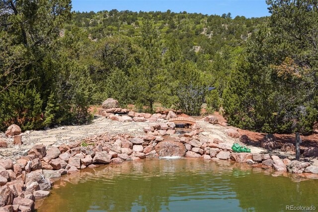 15010 Henry Ride Hts, Colorado Springs, CO 80926 - photo 42