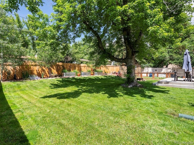 10109 W 68th Ave, Arvada, CO 80004 - view of yard