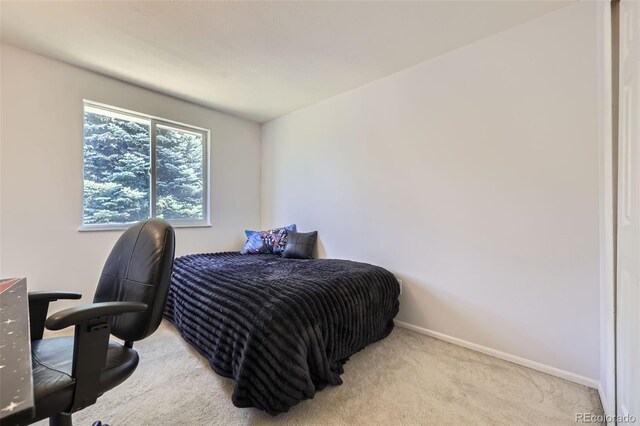 10890 Stuart Ct, Westminster, CO 80031 - photo 22