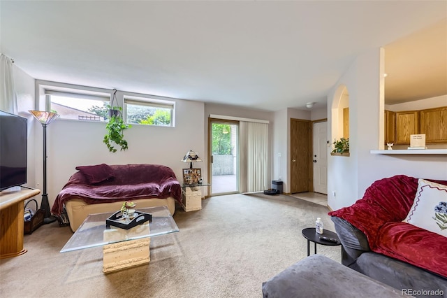 8900 Fox Dr Unit 1, Thornton, CO 80260 - living area with light carpet