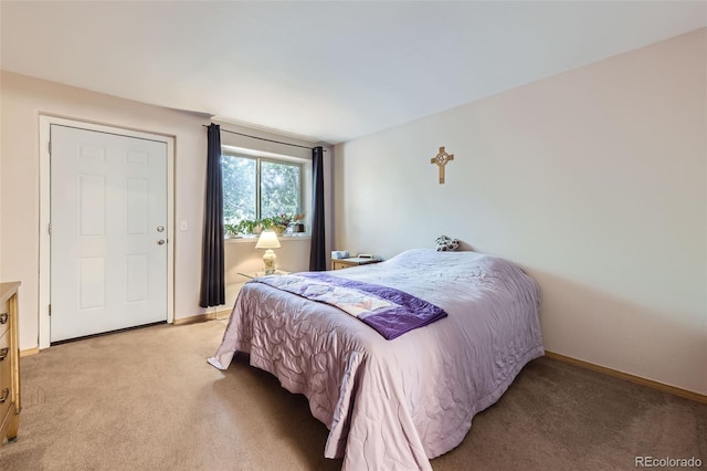 8900 Fox Dr Unit 1, Thornton, CO 80260 - bedroom featuring light carpet and baseboards