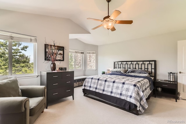 811 Brookside Dr, Longmont, CO 80504 - photo 16