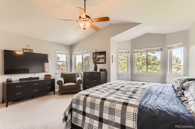 811 Brookside Dr, Longmont, CO 80504 - photo 18