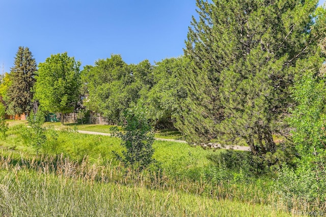 811 Brookside Dr, Longmont, CO 80504 - photo 28