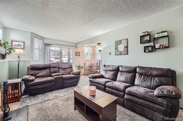 carpeted living room with a textured ceiling