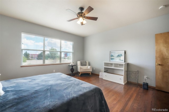 4197 Purple Plum Way, Colorado Springs, CO 80920 - bedroom with wood finished floors, baseboards, and a ceiling fan