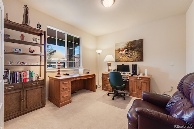 office space featuring light carpet