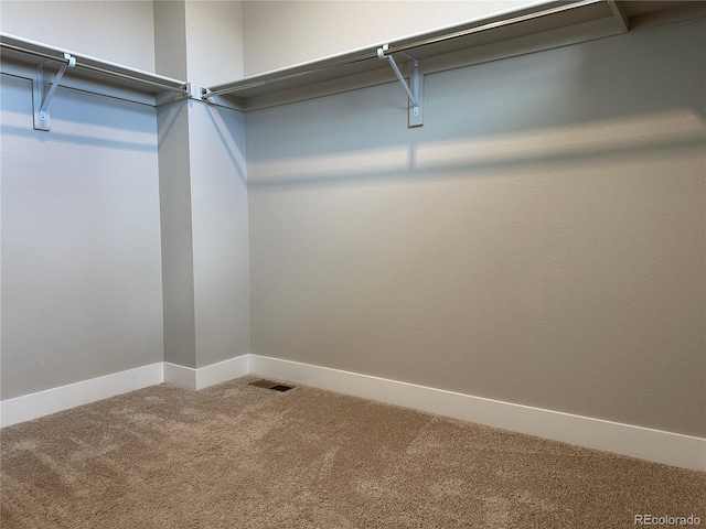 spacious closet with carpet floors