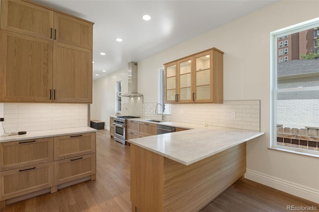459 N Clarkson St, Denver, CO 80218 - kitchen featuring wall chimney range hood, stainless steel appliances, light wood-style floors, light countertops, and glass insert cabinets