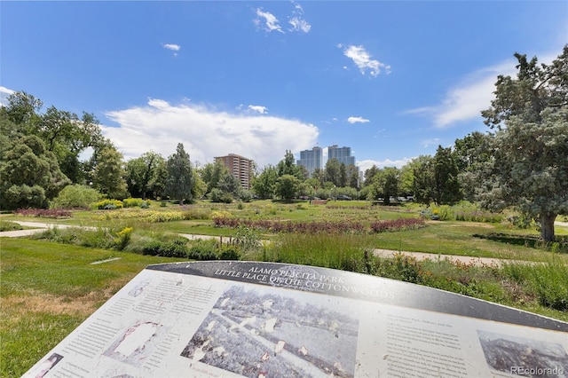 459 N Clarkson St, Denver, CO 80218 - view of patio