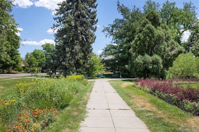 459 N Clarkson St, Denver, CO 80218 - view of home's community