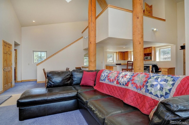 12650 Eagle Meadows Trl, Salida, CO 81201 - photo 7