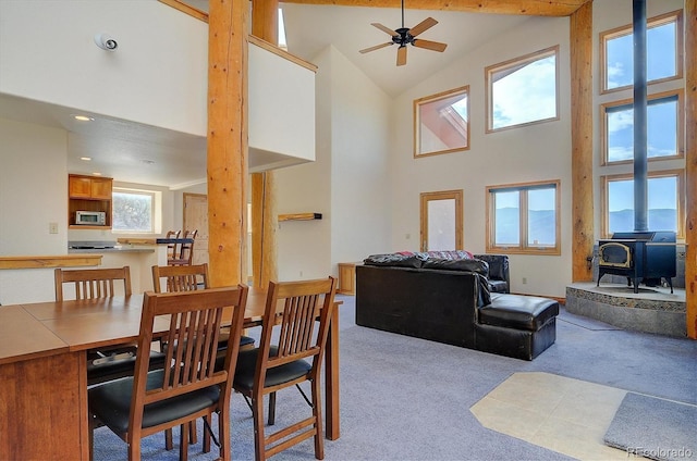 12650 Eagle Meadows Trl, Salida, CO 81201 - photo 8