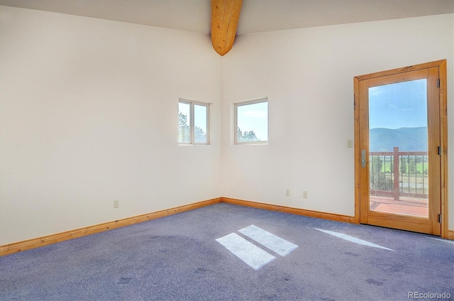 12650 Eagle Meadows Trl, Salida, CO 81201 - photo 13