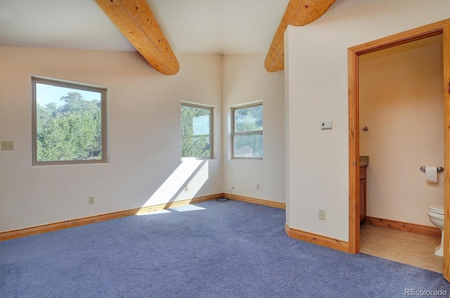 12650 Eagle Meadows Trl, Salida, CO 81201 - photo 22