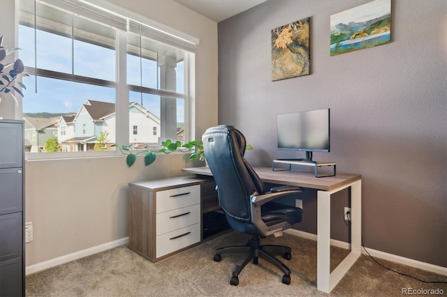 9807 Rosalee Peak St, Littleton, CO 80125 - office space with light colored carpet and baseboards