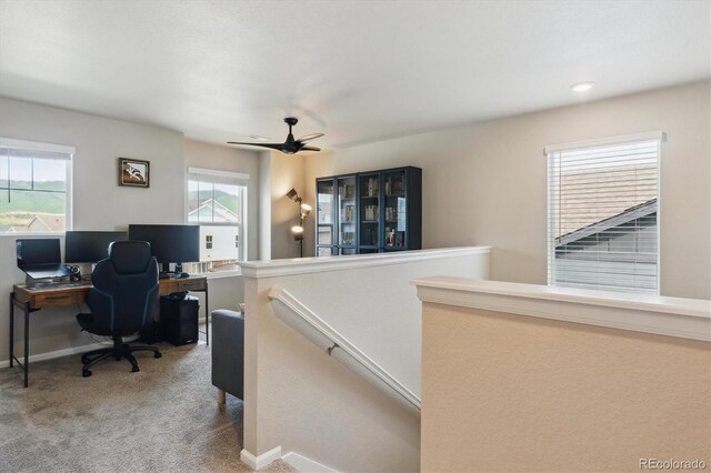 9807 Rosalee Peak St, Littleton, CO 80125 - carpeted office space featuring healthy amount of natural light, baseboards, and a ceiling fan