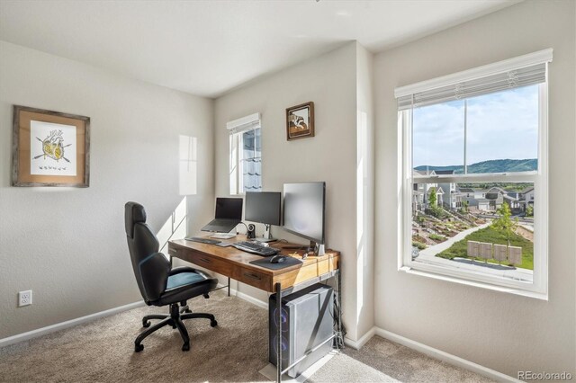 9807 Rosalee Peak St, Littleton, CO 80125 - home office with plenty of natural light, carpet floors, and baseboards