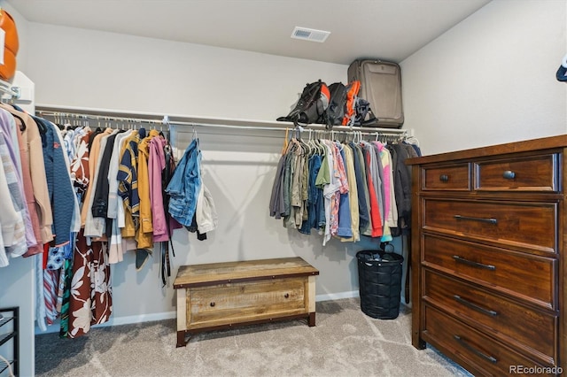 9807 Rosalee Peak St, Littleton, CO 80125 - walk in closet with carpet floors