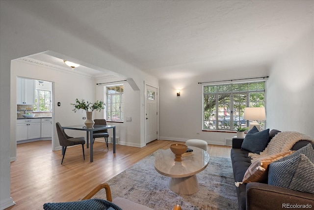 1439 Dexter St, Denver, CO 80220 - living area with healthy amount of natural light, light wood-style floors, crown molding, and baseboards