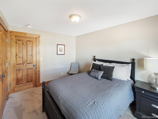 77 B Rd, Silverthorne, CO 80498 - bedroom featuring light colored carpet