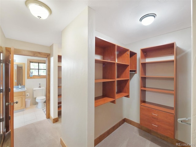 77 B Rd, Silverthorne, CO 80498 - view of walk in closet
