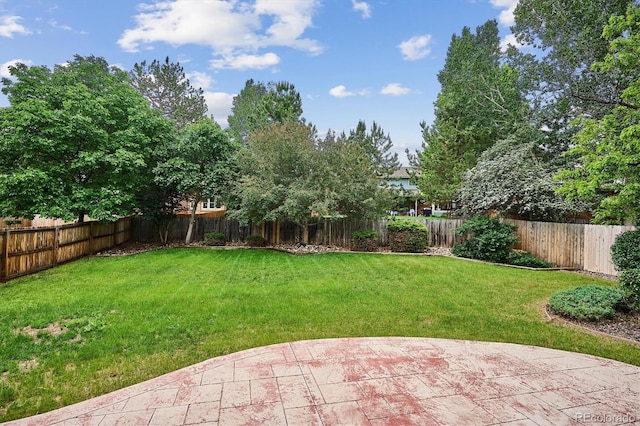 8182 Sweet Water Rd, Lone Tree, CO 80124 - view of yard featuring a patio