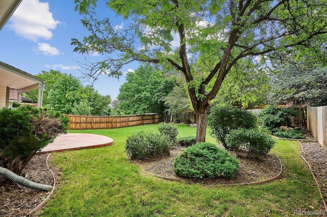 8182 Sweet Water Rd, Lone Tree, CO 80124 - view of yard featuring a patio area