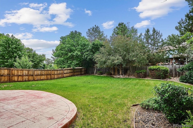 8182 Sweet Water Rd, Lone Tree, CO 80124 - view of yard featuring a patio area