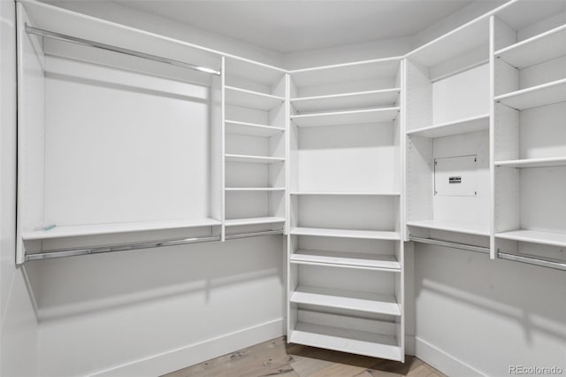 walk in closet with wood finished floors