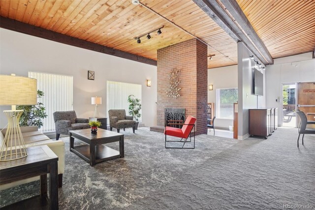 3465 S Poplar St Unit 305, Denver, CO 80224 - living room featuring wooden ceiling, a fireplace, track lighting, and carpet flooring