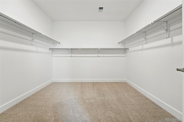 16537 Black Rose Cir, Parker, CO 80134 - spacious closet with visible vents and carpet