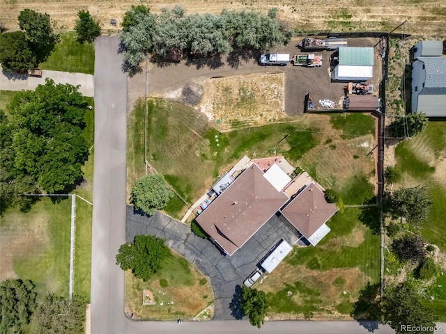 14766 E 134th Pl, Brighton, CO 80601 - photo 50