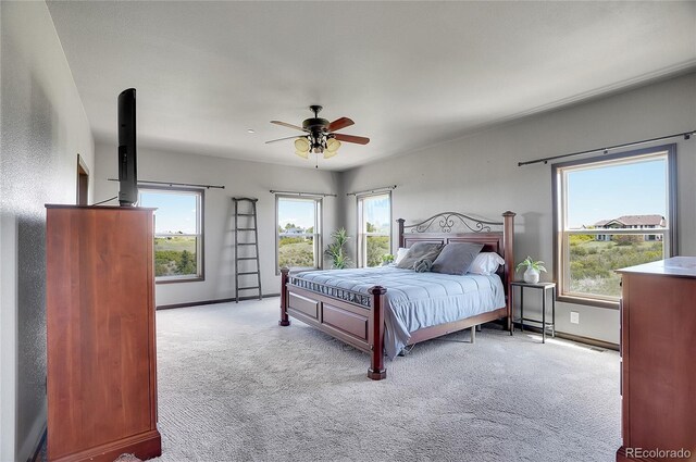 4959 Rocky View Pt, Castle Rock, CO 80108 - photo 21